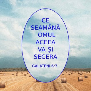 Galateni 6:7 - Nu vă înșelați! Dumnezeu nu Se lasă batjocorit! Căci ceea ce seamănă omul, aceea va și secera.