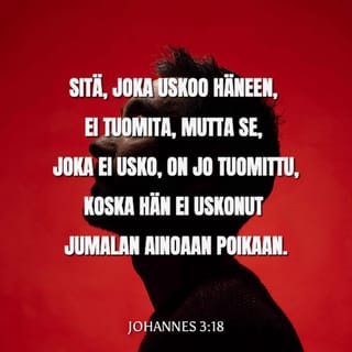 Evankeliumi Johanneksen mukaan 3:18 FB92