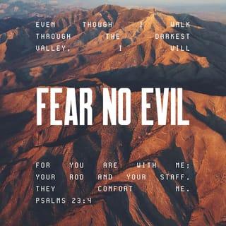 Psalms 23:4 - Even though I walk through the valley of the shadow of death, I will fear no evil, for You are with me: Your rod and Your staff comfort me.