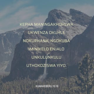 KumaHeberu 13:16 ZUL59