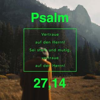 Psalmen 27:14 - Harre auf den HERRN!
Sei stark, und dein Herz fasse Mut,
und harre auf den HERRN!