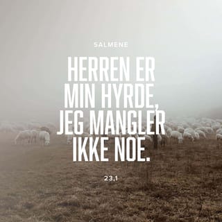 Salmene 23:2-3 NB