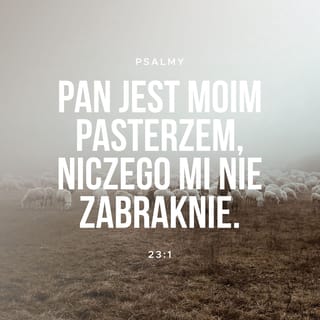 Psalmy 23:1-6 - PAN jest moim Pasterzem,
Niczego mi nie braknie.
Pasie mnie na zielonych łąkach,
Prowadzi nad spokojne wody,
Orzeźwia moją duszę,
A ze względu na swoje imię
Idzie przede mną ścieżkami
sprawiedliwości.
I choćbym nawet szedł
Doliną cienia śmierci,
Zła się nie przestraszę —
Przecież Ty jesteś ze mną,
Twoja laska i Twój kij
Są mi źródłem pociechy.
Zastawiasz przede mną stół
Na oczach moich wrogów,
Namaszczasz olejkiem mą twarz,
A mój kielich już pełniejszy
być nie może.
Tak, Twa dobroć i łaska nie odstąpią
mnie na krok
Przez resztę dni mego życia.
I zamieszkam w domu PANA
Na długo.