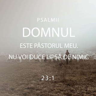 Psalmul 23:2 VDC