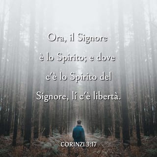 Seconda lettera ai Corinzi 3:17 - Ora, il Signore è lo Spirito; e dove c'è lo Spirito del Signore, lí c'è libertà.