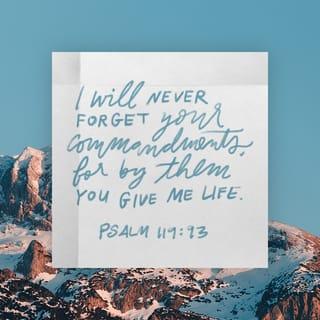 Psalms 119:93 - I will never forget your commandments,
for by them you give me life.
