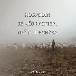 Žalmy 23:1-3 - Hospodin je môj pastier, nič mi nechýba.
Vodí ma na zelené pastviny,
privádza ma k tichým vodám.
Obnovuje mi život,
vodí ma správnymi cestami
pre svoje meno.
