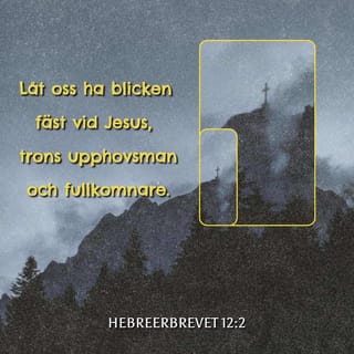 Hebreerbrevet 12:1-3 B2000