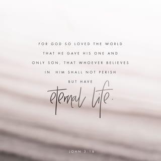 Yochanan 3:16 - For God so loved the world, that he gave his only born Son, that whoever believes in him should not perish, but have eternal life.