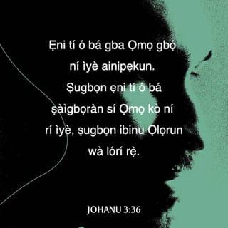 Joh 3:36 YBCV