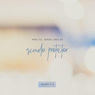 Salmos 3:3 - 3 (4) Solo tú, Dios mío,
me proteges como un escudo;
y con tu poder
me das nueva vida.