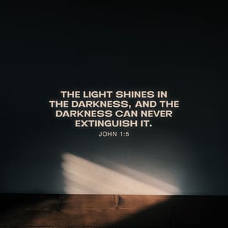 John 1:5 - The Light shines in the darkness, and the darkness has not overpowered it.