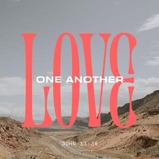 John 13:34-35 - And now I give you a new commandment: love one another. As I have loved you, so you must love one another. If you have love for one another, then everyone will know that you are my disciples.”