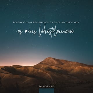 Salmos 63:3 NTLH