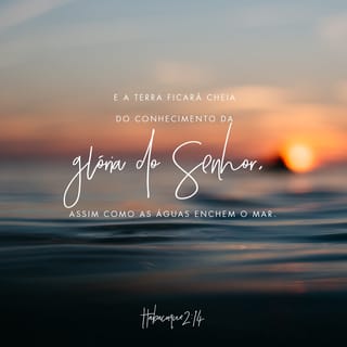 Habacuque 2:14 - Pois, assim como as águas enchem o mar,
a terra se encherá do conhecimento da glória do SENHOR.