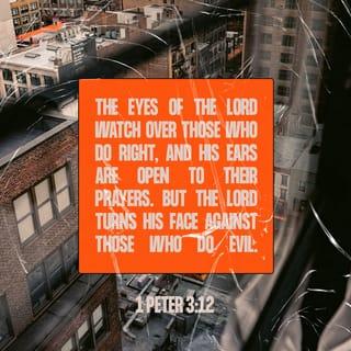 1 Peter 3:12 - For the eyes of the Lord are on the righteous
and his ears are attentive to their prayer,
but the face of the Lord is against those who do evil.’