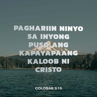 COLOSAS 3:15 - At maghari sa inyong puso ang kapayapaan ni Cristo, na diya'y tinawag din naman kayo sa isang katawan; at kayo'y maging mapagpasalamat.