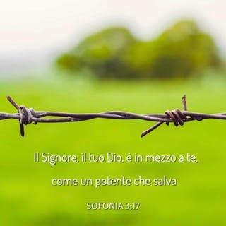 Sofonia 3:17 NR06