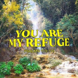 Psalms 119:113-120 - I hate double-minded people,
but I love your law.
You are my refuge and my shield;
I have put my hope in your word.
Away from me, you evildoers,
that I may keep the commands of my God!
Sustain me, my God, according to your promise, and I will live;
do not let my hopes be dashed.
Uphold me, and I will be delivered;
I will always have regard for your decrees.
You reject all who stray from your decrees,
for their delusions come to nothing.
All the wicked of the earth you discard like dross;
therefore I love your statutes.
My flesh trembles in fear of you;
I stand in awe of your laws.