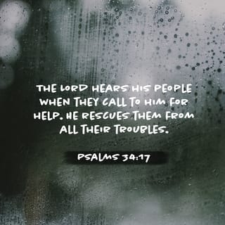 Psalms 34:17 - The righteous cry out, and the LORD hears,
and rescues them from all their troubles.
