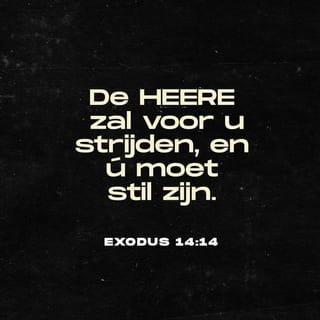 Exodus 14:14 HTB