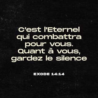 Exode 14:14 - C’est l'Eternel qui combattra pour vous. Quant à vous, gardez le silence!»