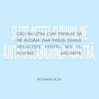 Romani 8:26-27 VDC