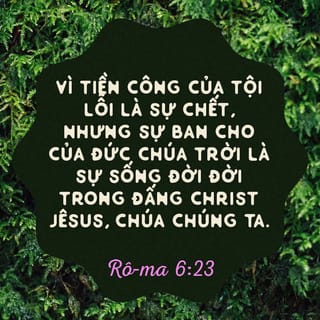 Rô-ma 6:23 - Vì tiền công của tội lỗi là sự chết, nhưng sự ban cho của Đức Chúa Trời là sự sống đời đời trong Đấng Christ Jêsus, Chúa chúng ta.