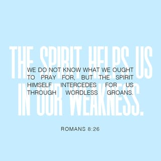 Romans 8:26 - In certain ways we are weak, but the Spirit is here to help us. For example, when we don't know what to pray for, the Spirit prays for us in ways that cannot be put into words.