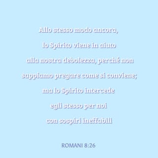 Lettera ai Romani 8:26-27 NR06