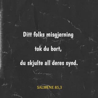 Salmene 85:2 NB