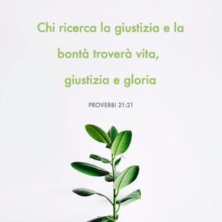 Proverbi 21:21 NR06