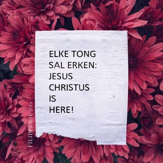 FILIPPENSE 2:11 - en elke tong sal bely:
“Jesus Christus is Here!”
En só sal God die Vader
verheerlik word!