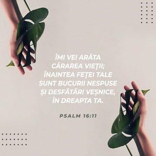 Psalmul 16:11 VDC