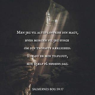 Salmernes Bog 59:16 BPH