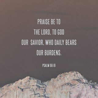 Psalms 68:19 - Thanks be to the Lord,
who daily carries our burdens for us.
God is our salvation. Selah