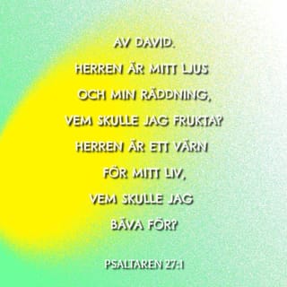 Psaltaren 27:1 - HERREN är mitt ljus och min frälsning.
Vem behöver jag vara rädd för?
HERREN är mitt livs fästning.
Vem behöver jag bäva för?