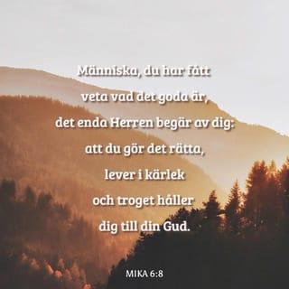 Mika 6:8 B2000