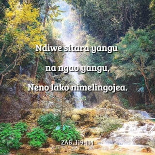 Zaburi 119:113-114 - Ninachukia watu wa nia mbili,
lakini ninapenda sheria yako.
Wewe ni kimbilio langu na ngao yangu,
nimeweka tumaini langu katika neno lako.