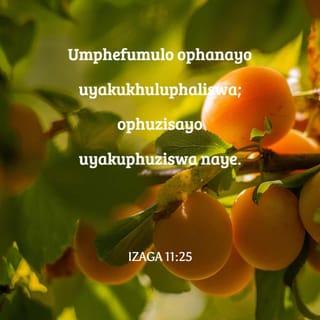 IzAga 11:25 - Umphefumulo ophanayo uyakukhuluphaliswa;
ophuzisayo uyakuphuziswa naye.