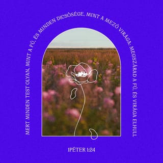 1 Péter 1:24 HUNK