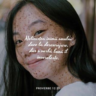 Proverbele 12:25 VDC