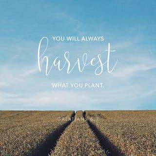 Galatians 6:8-9 - Whoever sows to please their flesh, from the flesh will reap destruction; whoever sows to please the Spirit, from the Spirit will reap eternal life. Let us not become weary in doing good, for at the proper time we will reap a harvest if we do not give up.
