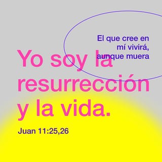Juan 11:25-26 - Jesús le dijo:
—Yo soy la resurrección y la vida. El que cree en mí vivirá aun después de haber muerto. Todo el que vive en mí y cree en mí jamás morirá. ¿Lo crees, Marta?