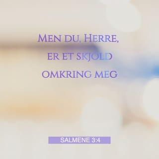 Salmenes bok 3:3 - Mange er de som sier om meg: «Det er ingen frelse for ham hos Gud.» Sela