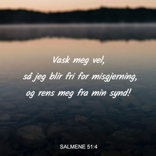 Salmene 51:1-2 NB