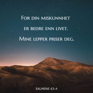 Salmene 63:3 NB