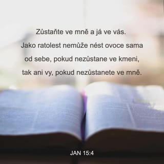 Jan 15:4-5 B21