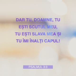 Psalmul 3:3 VDC