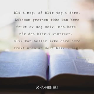 Johannes 15:4 - Bli i meg, så blir jeg i dere. Likesom grenen ikke kan bære frukt av seg selv, men bare hvis den blir på vintreet, slik kan heller ikke dere bære frukt hvis dere ikke blir i meg.